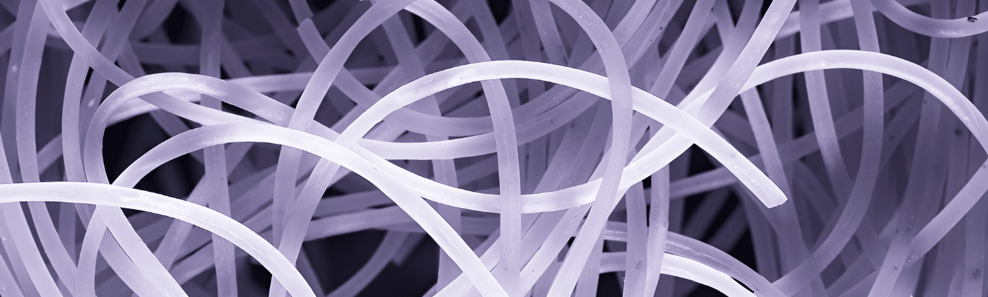 spaghetti_architecture_purple_header