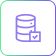 icon Data Management